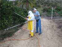 Encontro orienta citricultores